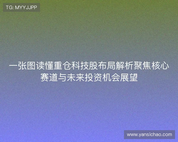 一张图读懂重仓科技股布局解析聚焦核心赛道与未来投资机会展望
